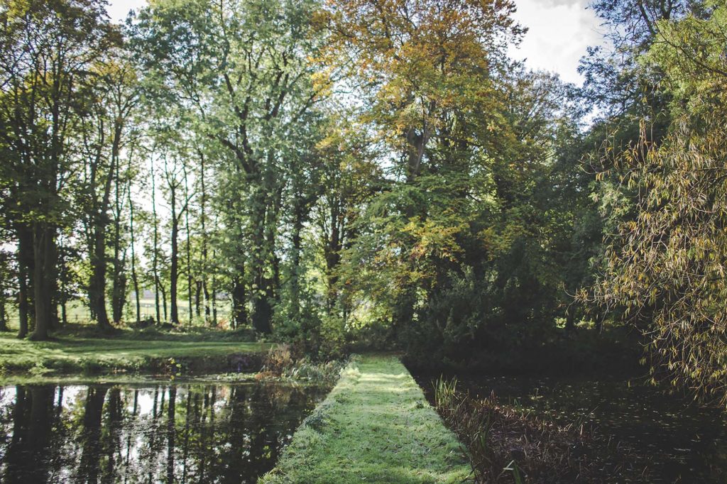 The ponds in the castle grounds are photographed on a sunny autumnal day