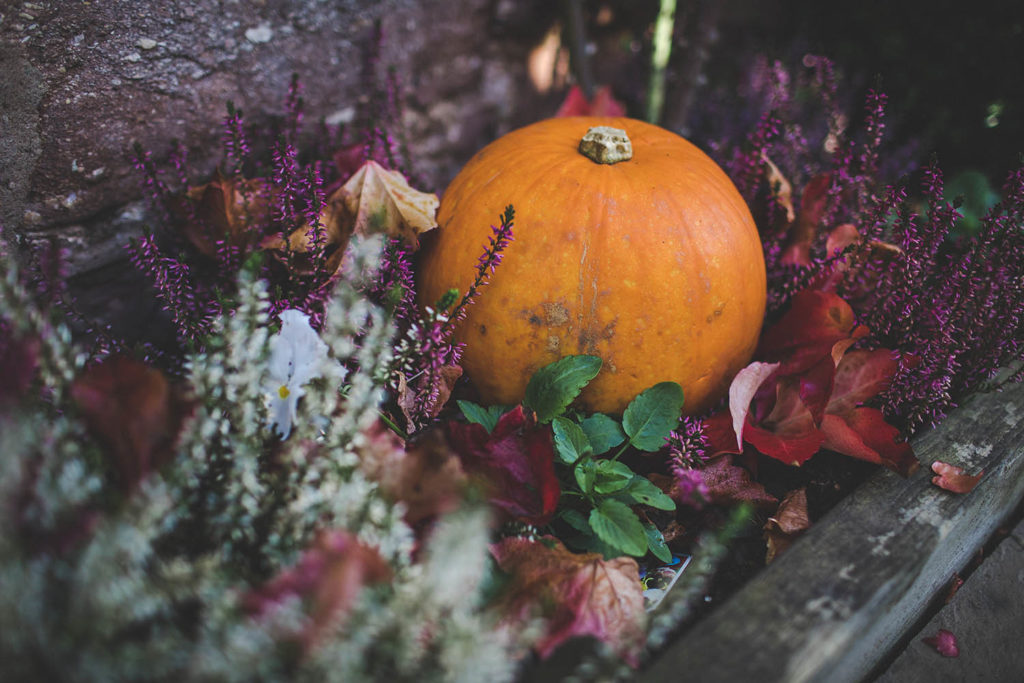 The flower beds are photographed here, with added pumpkins for an extra autumnal touch
