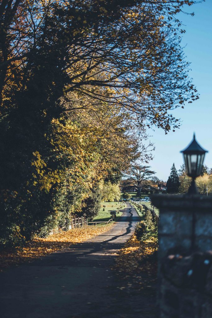 Rowton Castle's drive way is photographed on an autumns day