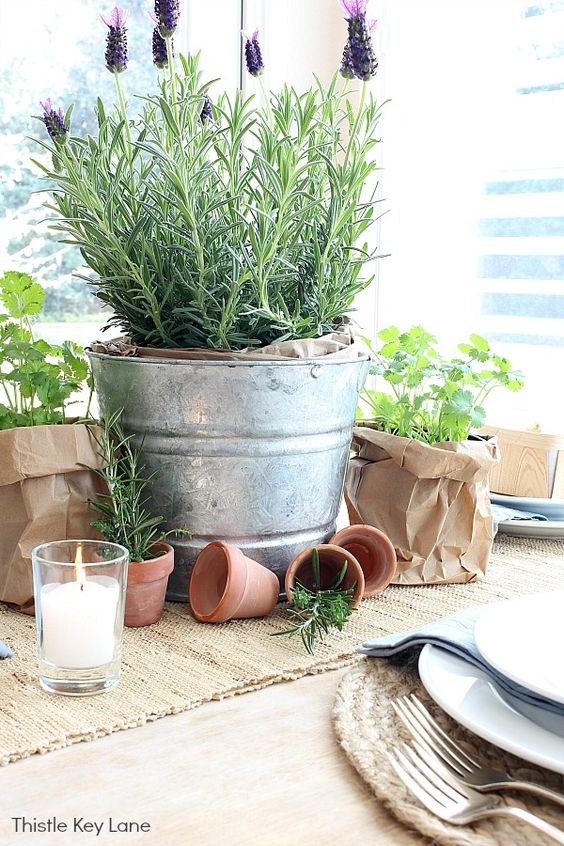 Centerpieces you can Make Yourself Blog. Potted Herbs